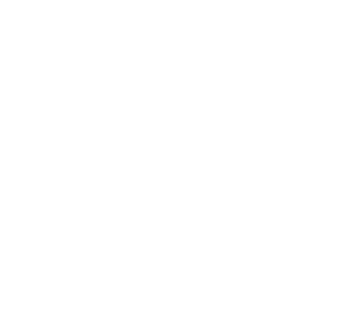 ic-advantage-sector-01